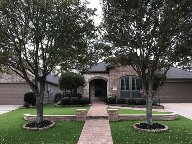 Front Lawn  Turf